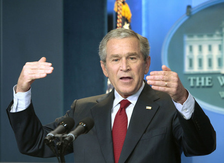 Bush