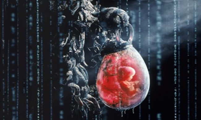 The Matrix The Matrix